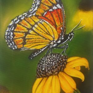 Wings Of Beauty